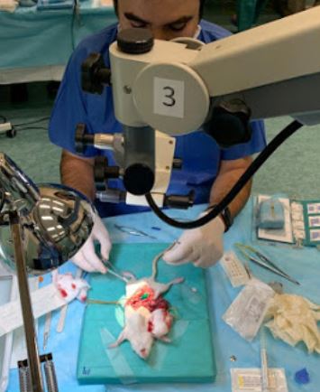Estética dental en Málaga Clínica Dental Torrequebrada